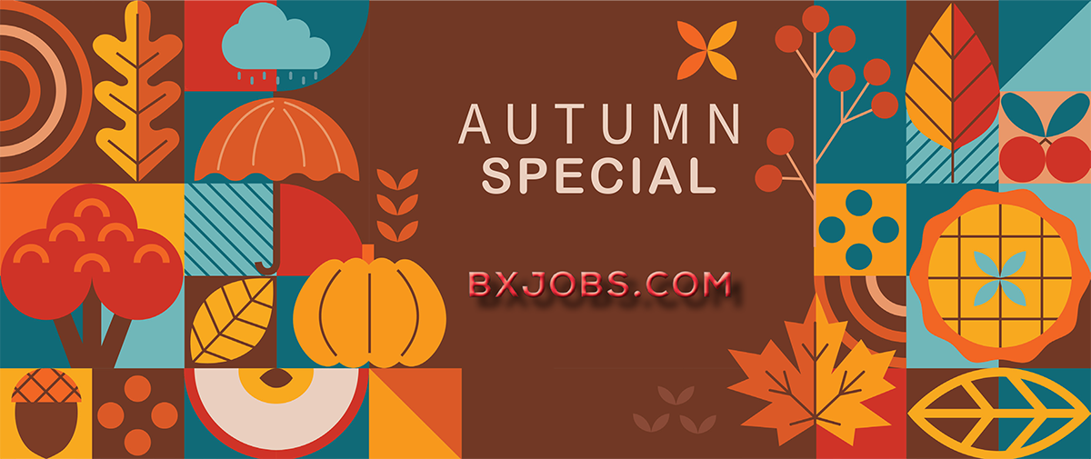 BX Job Board Infographic
